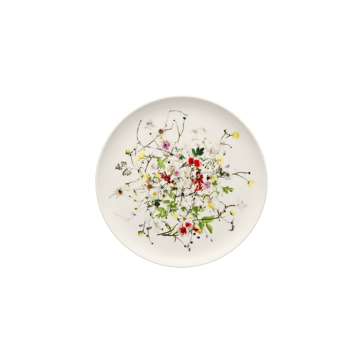 Rosenthal Fleurs Sauvages Rosenthal Brillance Fleurs Sauvages Plate 18 cm front view