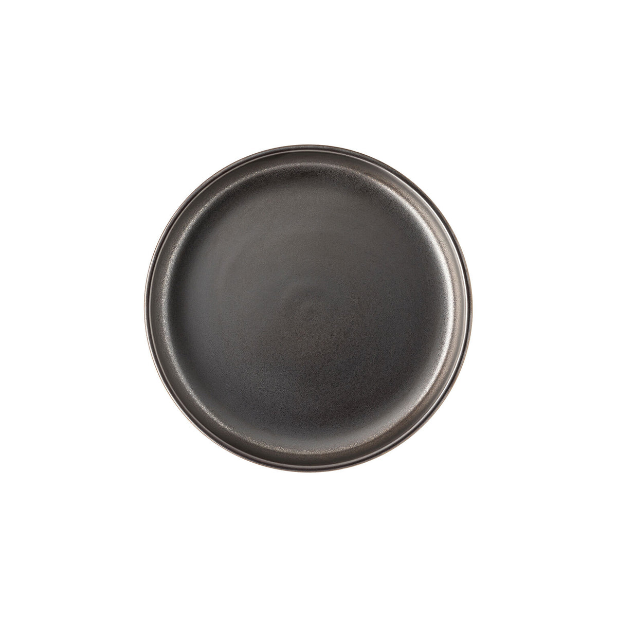 Rosenthal Iron Rosenthal Joyn Stoneware Iron Gourmet Plate 20 cm front view