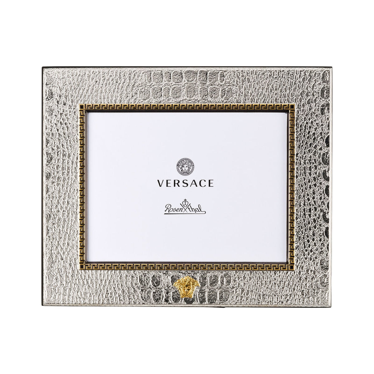 Versace Frames VHF3 - Silver Picture Frame 15x20 front view