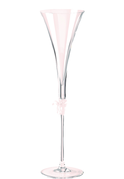 Versace Medusa Lumiere Champagne flute