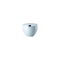 Rosenthal Opal Green Rosenthal Junto Opal Green Sugar bowl w.indent. front view