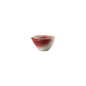Rosenthal Scarlet Rosenthal Bloom Scarlet Jug front view