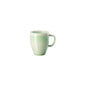 Rosenthal Jungle Rosenthal Junto Jungle Mug with handle front view