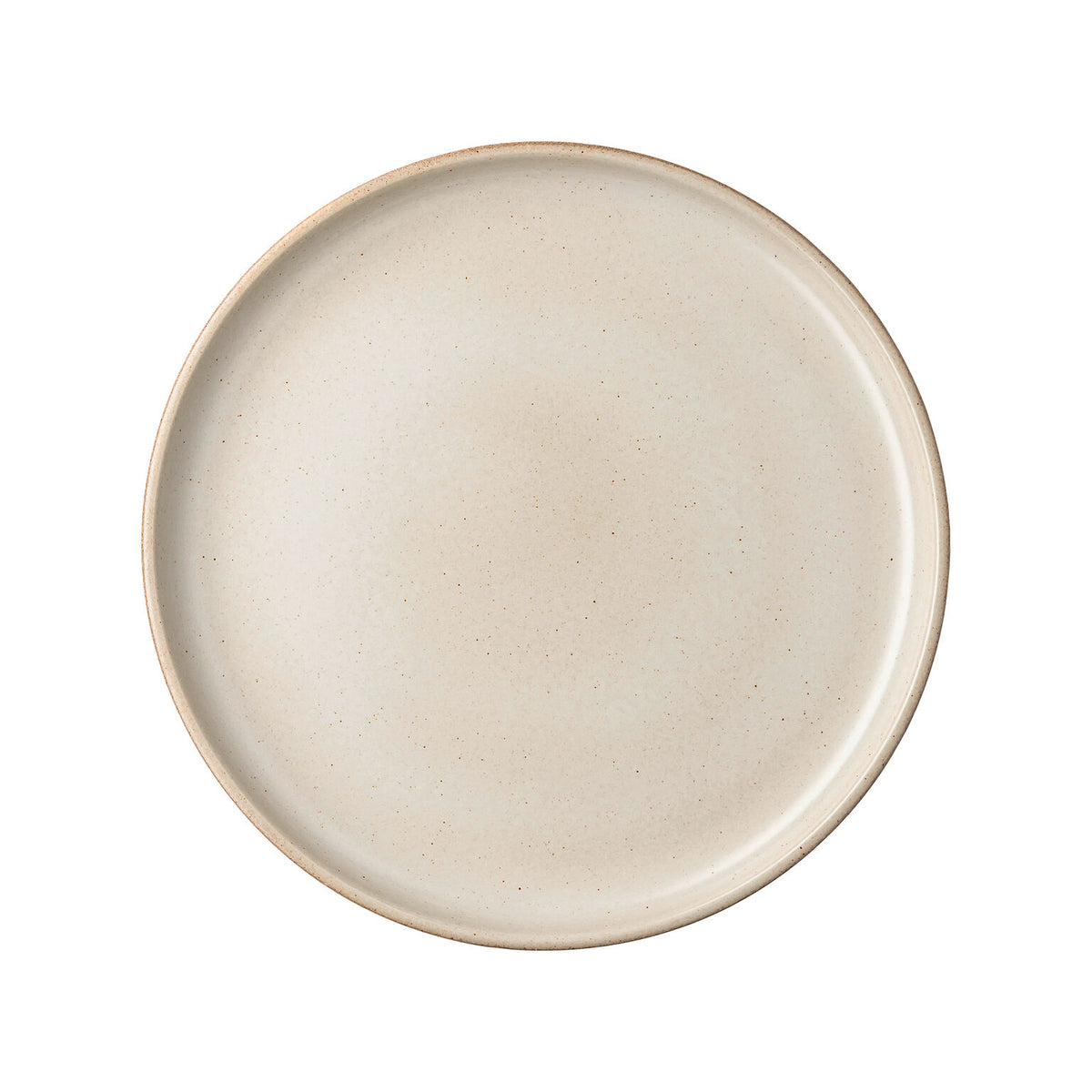 Rosenthal Ash Rosenthal Joyn Stoneware Ash Plate 28 cm front view