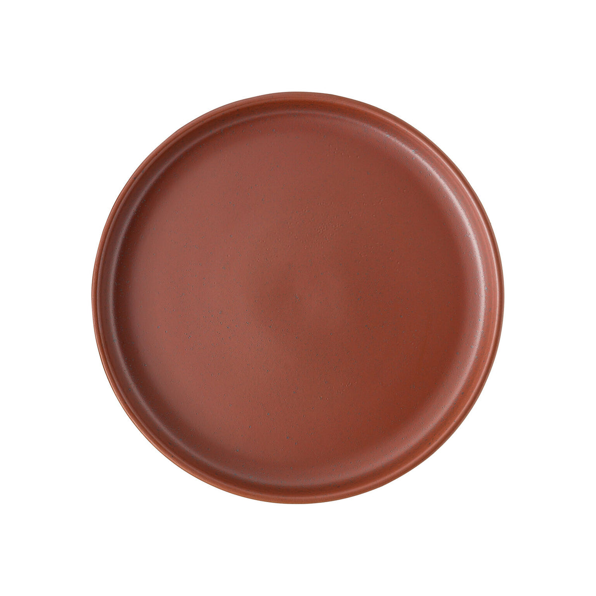Rosenthal Spark Rosenthal Joyn Stoneware Spark Gourmet Plate 26 cm front view