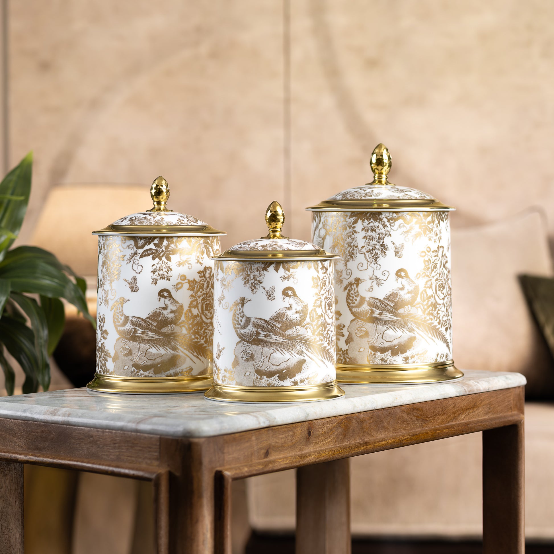 Royal Crown Derby Aves Gold Storage Jar (50oz) – alternate official product image