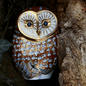 Royal Crown Derby Barn Owl – official product image