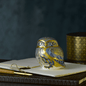 Royal Crown Derby Nightingale Owl – official product image
