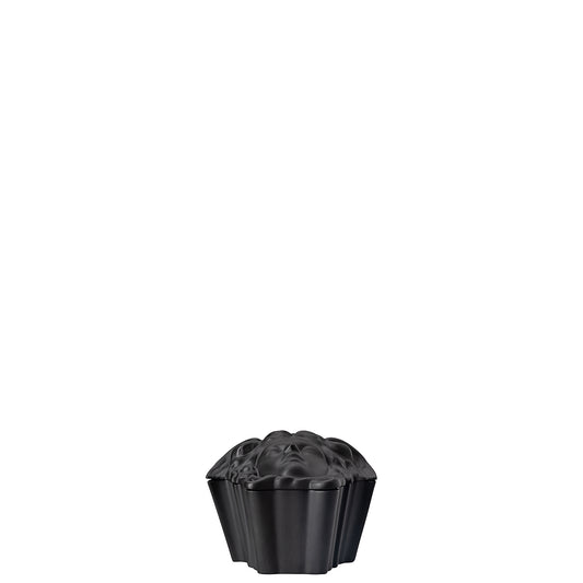 Versace Gypsy Black Box