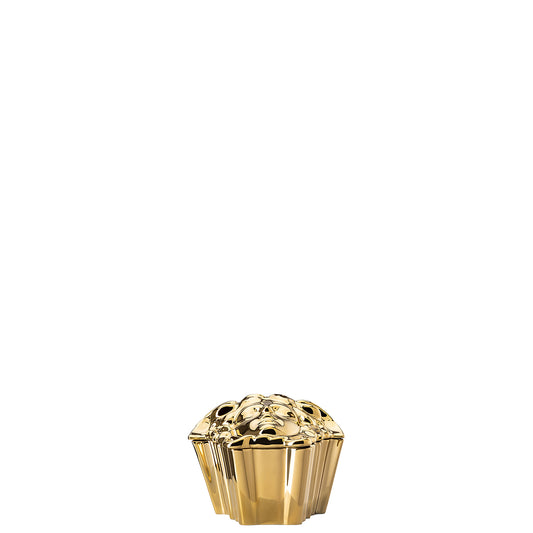 Versace Gypsy Gold Box